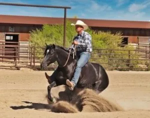 MEET THE GORGEOUS LADY- &quotBLOSSOM&quot BLACK AQHA MARE