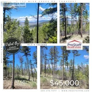Beautiful and Remote Vacant Land