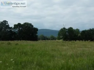 Pasture Land - Owner Financed