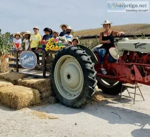 Spanish Summer Camp at Tanaka Farms