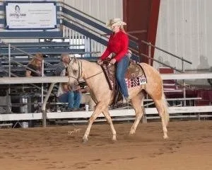 2016 pretty Palomino Mare.  Tuflena Chex (Sunny)
