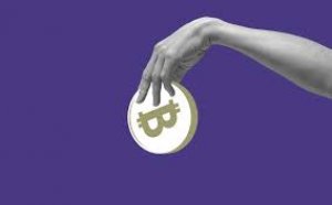 Where can i get thunder ev token wallet? | thunder ev