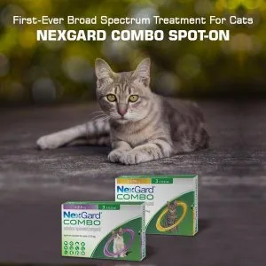 Save Up To 20% on Your Purchase with NexGard Combo for Cats Cana