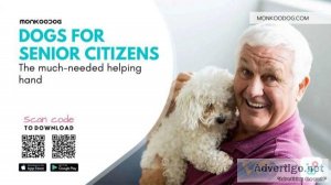 Dogs For Senior Citizens The Much-Needed Helping Hand