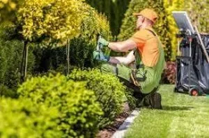 Landscapers  Lawn Service People Wanted
