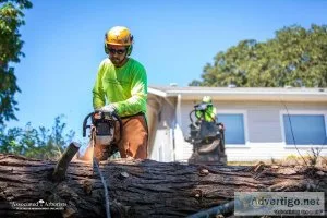 Tree Removal Services For Home and Business