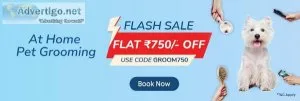 Flash Sale - Grooming at Zigly For Happy Pets