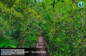 Sundarban tour 2 night 3 days