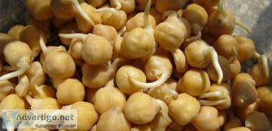 Types of Chickpeas and how they help us