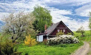 ARE YOU WANT TO SELL YOUR PROPERTY AND NEED CASH QUICKLY