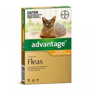 Buy Advantage For Kittens and Small Cats Up To 4kg Orange