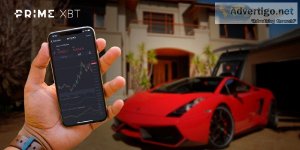 Auto-Copy Pro Traders - Best Online Trading Experience