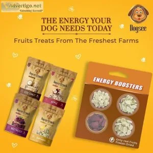 Buy Vegetarian Dog Treats Online