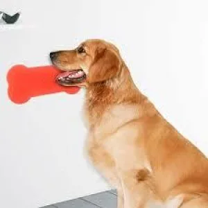TOP TIPS ON DOG FIRST AID FOR GROOMERS
