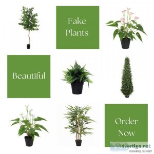The Most Reliable Online Store To Buy Fake Plants In Australia