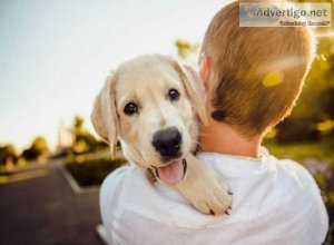10 Signs Will Tell Whether You&rsquore Ready To Have A Puppy Or 