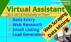 I will do excel data entry as virtual assistant for web research