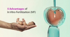 Best doctor for infertility in bangalore - best fertility specia