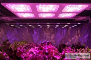 6 different considerations when choosing the best led grow light
