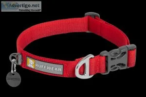 Buy the Best Dog Collars online from Pawrulz