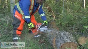 Chainsaw Safety Training Course  Onlinesafetytraining .ca