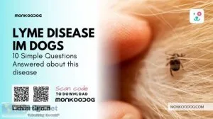 10 Simple Questions Answered About Lyme Disease In Dogs