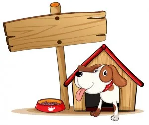 Top Ways to  Purchase online  the Cutest Puppy hoodies in Oklaho
