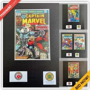Toronto Reseller Online Auction - Haviland Drive