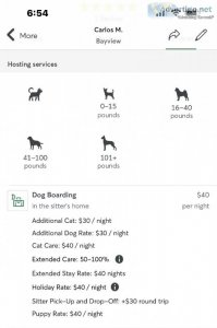 Professional dedicated pet sitter