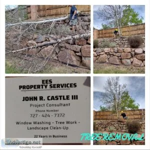 Does ur yard or trees need saving