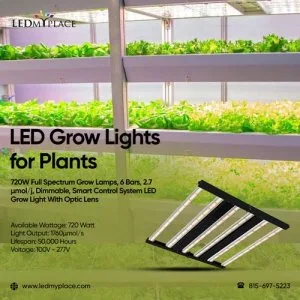 Order LED Grow Lights for Plants for your Indoor Planting Area