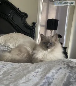 Adorable pair of brothers