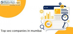 Top seo companies in mumbai- skyview smart solutions