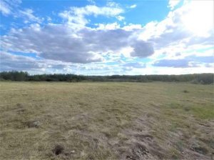 ChemicalFertilizer Free 160-Acres