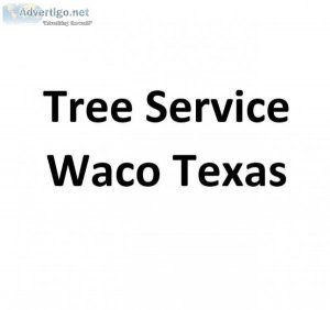 Tree Service Waco Texas