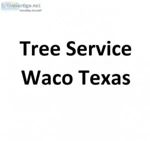 Tree Service Waco Texas
