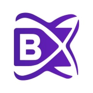 Blockchain development company
