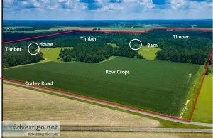 200 Acres - Barn and Custom House in NW Florida