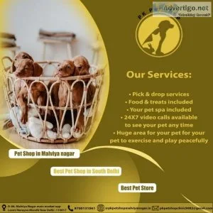 Best Pet Shop in South Delhi  Pet Shop in Malviya Nagar  Best Pe