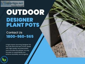 The Best Online Store To Buy Artificial Plants In Sydney