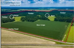 200 Acres - Barn and Home in NW Florida