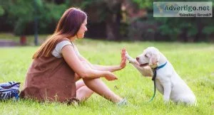 To Stop Incessant Barking