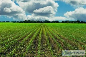 Agriculture Electrical Service and Parts Company for sale