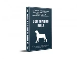 Your Dog s Behavior