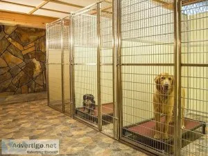 Looking for Dog Boarding services in Puyallup