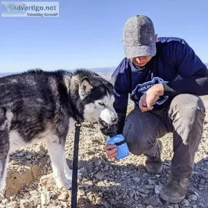Pet Water Bottle for Dogs