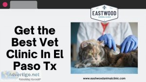 Get the best Vet Clinic In El Paso Tx