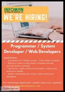 Programmer  System Developer  Web Developer
