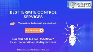 Termite control goa