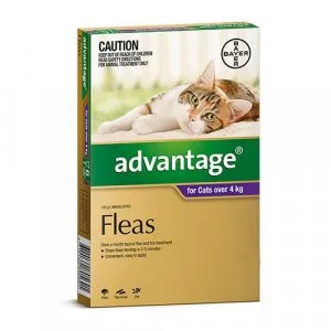 Buy Advantage For Cats Over 4kg (Purple)  DiscountPetCare
